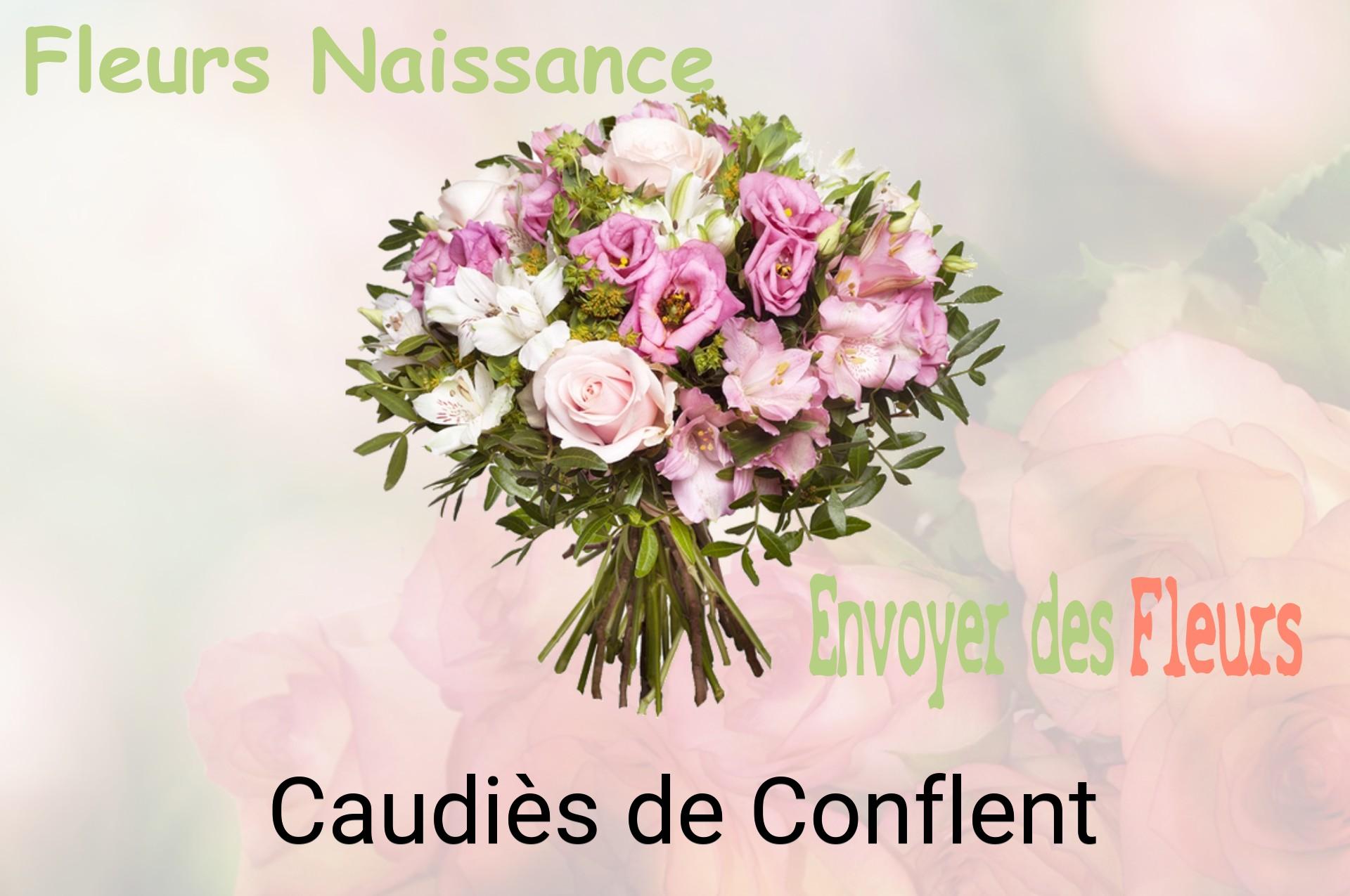 Bouquet de fleurs de naissance livré à Caudiès-de-Conflent