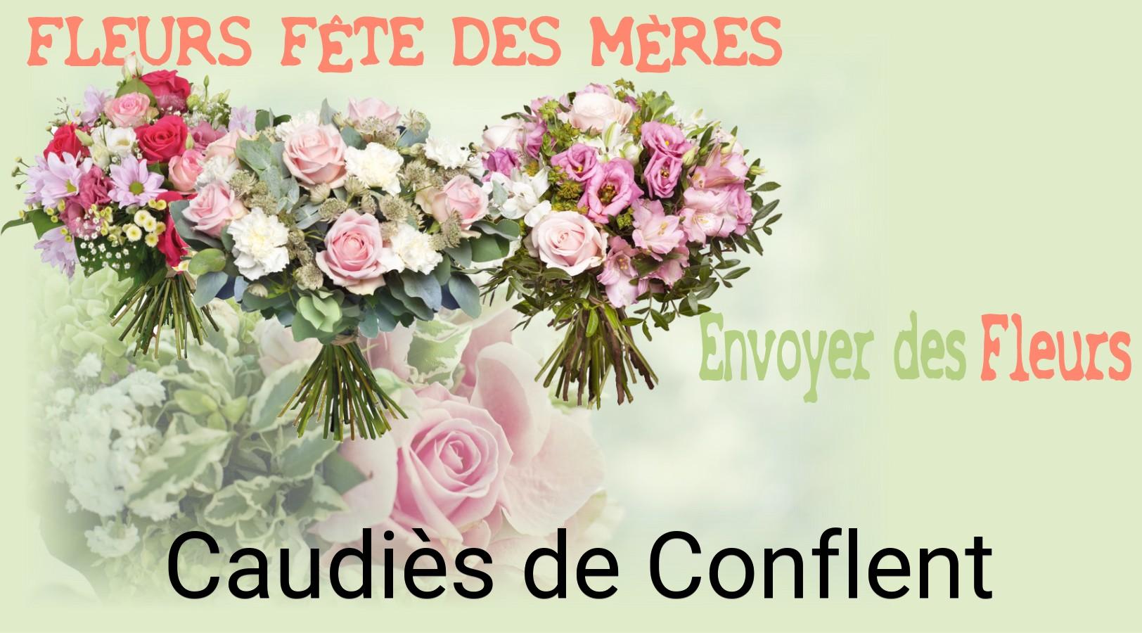 Bouquet de Fête des Mères livré à Caudiès-de-Conflent